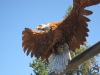libby-eagle-2.jpg