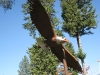 libby-eagle-4.jpg