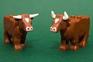 Photo Credit: www.farm4.static.flickr.com