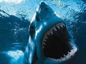 Photo credit: www.have-a-great-time-in-south-australia.com