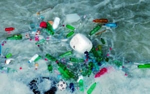 image source: www.hopeforgaia.com