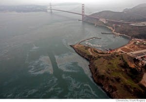 Image Source: San Francisco Chronicle